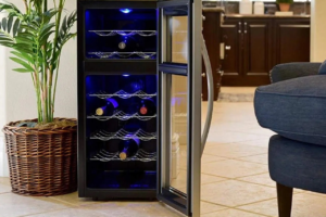 Lets talk about wine coolers